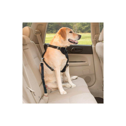 Centura siguranta auto universala pentru animale 50 cm
