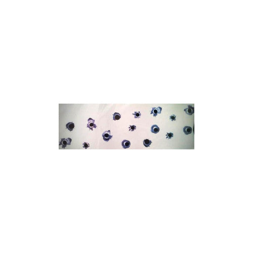 Abtibild Gloante auto decorativ pentru exterior si interior Cod: DZ-4