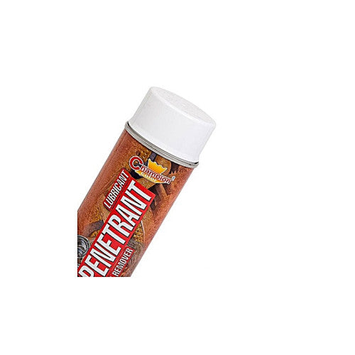 Spray vopsea degripant Champion profesional 400ml