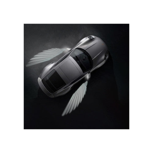 Set lampi LED 12V  efect Angel Wings   lumina alba Cod: FS-1801