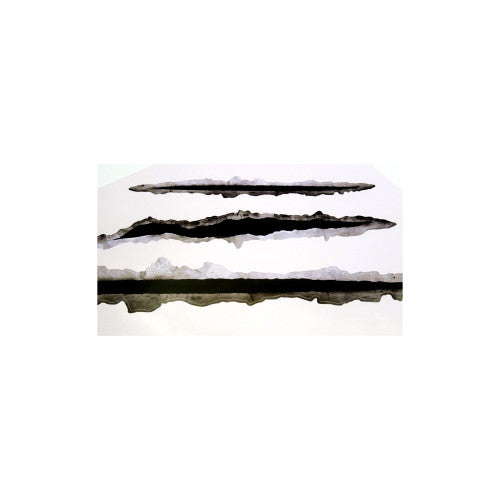 Abtibild urme gheara auto decorativ 22x28cm Cod: 3D-FK4